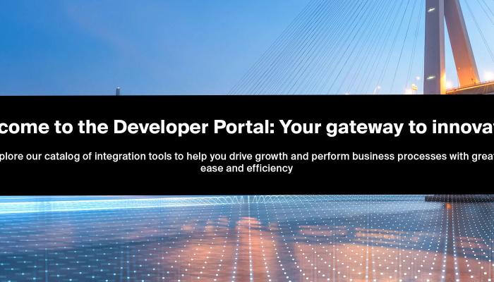 Welcome to Developer Portal Hero Banner